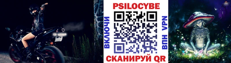 Псилоцибиновые грибы мухоморы  маркетплейс Telegram  Адыгейск 